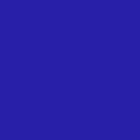 Color of #281FA8