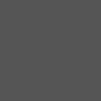 Color of davy's gray