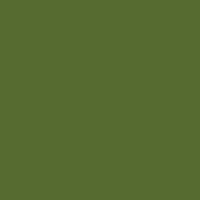 Color of dark olive green