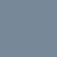 Color of light slate gray