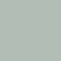 Color of ash gray