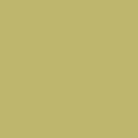 Color of dark khaki