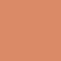 Color of pale copper
