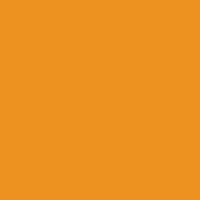 Color of carrot orange